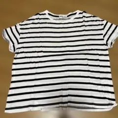 ZARA TRAFALUC ボーダー 半袖 Tシャツ