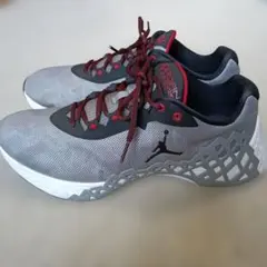 ナイキ NIKE JORDAN TRUNNER LT ジョーダン 29㎝