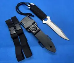 Item thumbnail for item 0bfd2e5d-f1c0-4071-96fd-dbda69d861cd