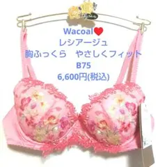 B75♥ワコール♥レシアージュ 　胸ふっくらやさしくフィットブラジャー単品のサムネイル