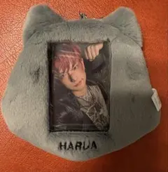 &TEAM 韓国 ポップアップ フォトカードホルダー HARUA ハルア