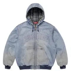 Item thumbnail for item f3716c96-ba8e-4709-9b8f-d06c6f680584