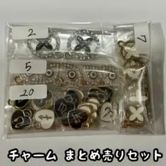 たい様 リクエスト 2点 まとめ商品