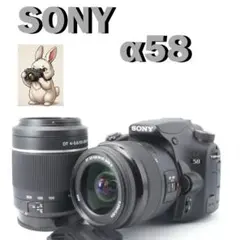 SONY α5100■ショット数3185回■ 標準レンズキット SONY α5100□ショット数3185回□ 標準レンズキット - メルカリ
