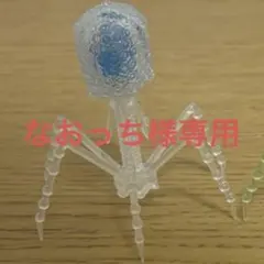 Item thumbnail for item 6845c762-dca8-42b9-8209-a7cd73e6730a