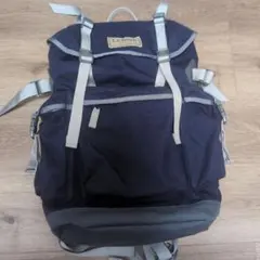 LLBean　リュック　紫