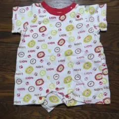 Item thumbnail for item 5c1c9df9-66d1-4337-8859-d77602261274