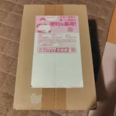 【シュリンク付き】ポケモンセンター　トウホク　スペシャルBOX