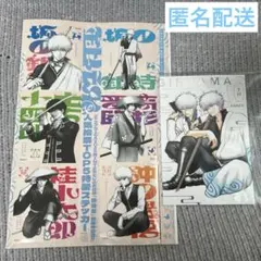 銀魂 ジャンプGIGA 2025 WINTER