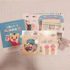 こどもちゃれんじ 体験版セット DVDつき