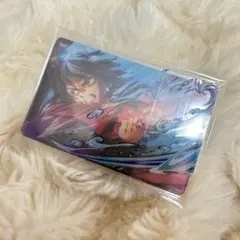 鬼滅の刃 WEBSHOPくじ D賞 レイヤードクリアカードセット 02 冨岡義勇