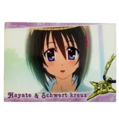 魔法少女リリカルなのはStrikerSカードR07 - メルカリ