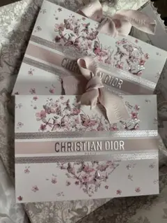 DIOR ショッパー 2026春限定　紙袋　２枚セット