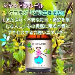 予約コスモス (秋桜) ～調和・思考を言語化～フラワーエッセンスシャン