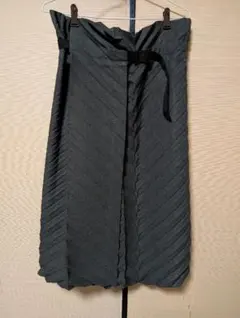 2026年最新】イッセイミヤケ スカートの人気アイテム - メルカリ