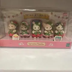 シルバニア　あつまれ！赤ちゃんセット-いちご-