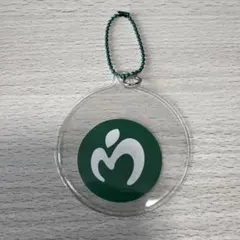 Mrs. GREEN APPLE◆ゼンジンフレークステッカー 最新ロゴ