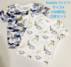 コストコ★Pekkle 恐竜柄Tシャツ２枚セット　サイズ4(100相当)