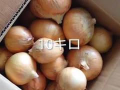玉ねぎ 10kg　訳あり　徳島直送　大中小混合　家庭菜園のサムネイル