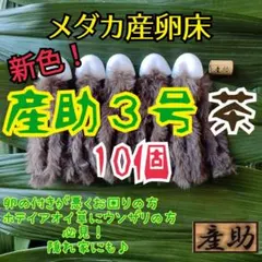 【胃腸ケア】鹿ミミガー　天然おやつ♪ 6入り 胃腸ケア】鹿ミミガー 天然おやつ♪ 6個入り - メルカリ
