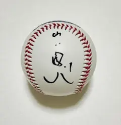 山田哲人直筆サイン入り】ヤクルトスワローズ キャップ - メルカリ