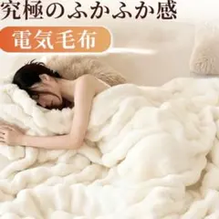 ふわとろ毛布 電気毛布 掛け敷き 電気 ブランケット ホワイト もこもこ