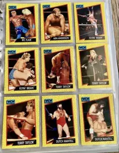 ＷＣＷプロレスカード　トレーディングカード　９枚セット