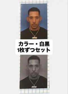 io just show reload 証明写真