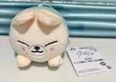 SKZOO くっつきぬいぐるみ フォクシニー アイエン
