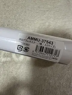 三代目 『 KINGDOM 』 特典 ホログラムポスター