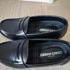 Item thumbnail for item 8c2816ed-b6b3-42f5-8a00-fc72edf9b9c4