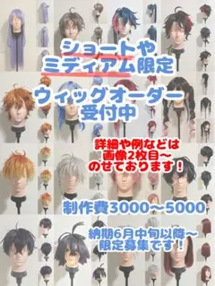 コスプレ ウィッグ オーダー ページ