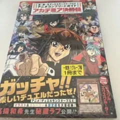 ミラクル•エクスクルーダー GX アニメコンプリートガイド アカデミア