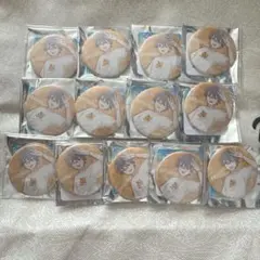 わんぷり　缶バッジ　イースター　悟　30個 わんぷり 缶バッジ イースター 悟 30個 わんだふるぷりきゅあ