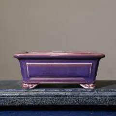 多肉植物鉢 紫砂鉢 盆栽鉢 植木鉢 小品盆栽鉢 大品盆栽鉢 - メルカリ