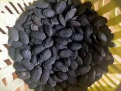 ヘチマの種　固定種　無農薬