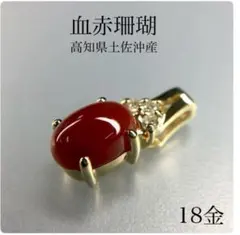 Pt950 血赤珊瑚 バチカンダイヤモンド ペンダント プラチナ - メルカリ