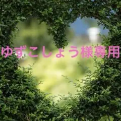 ゆずこしょう様専用