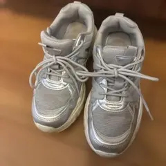 Item thumbnail for item 738c029f-1803-4ddc-bdbe-8f1c97d43d32