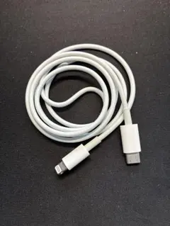 Apple iPhone 純正品 ライトニング ケーブル USB-C