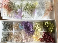 プリザーブドフラワー　花材セット