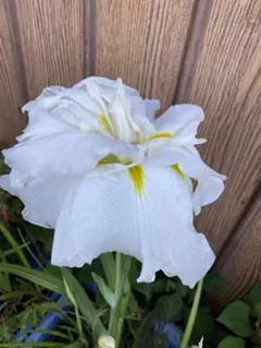 taktak様 リクエスト 3点 まとめ商品