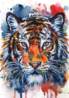トラ❤️虎 寅 ネコ科 猛獣 原画 鉛筆画 絵画 手描き イラスト - メルカリ