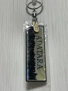 安達太良　ADATARA 光で変わるホログラフィー キーホルダー