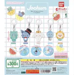 JOCHUM めじるしアクセサリー1