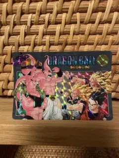 ドラゴンボール カードダス ダブルゴールドレザーカード 悟飯悟天 修行