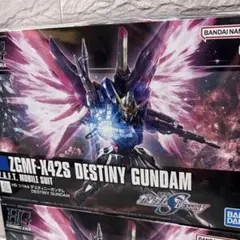 HG 1/144 デスティニーガンダム ガンプラ 新品未開封