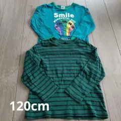 チョコラ&ユニクロ　ロングTシャツセット　120