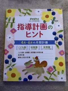 指導計画のヒント 12冊セット 指導計画のヒント 2冊セット 1月〜6月 使用感あり 保育士 年間 月間 月