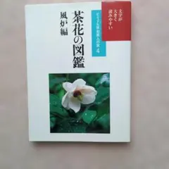 茶花の図鑑 風炉編